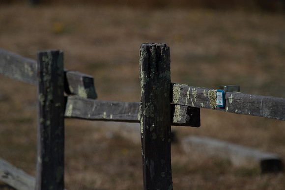 100-400L right point focus