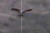 side by side denoised vs non denoised comparison