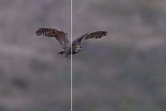 side by side denoised vs non denoised comparison