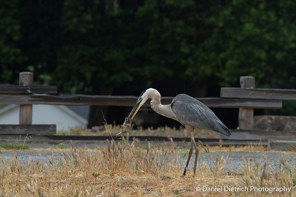 100-400L-15DD
