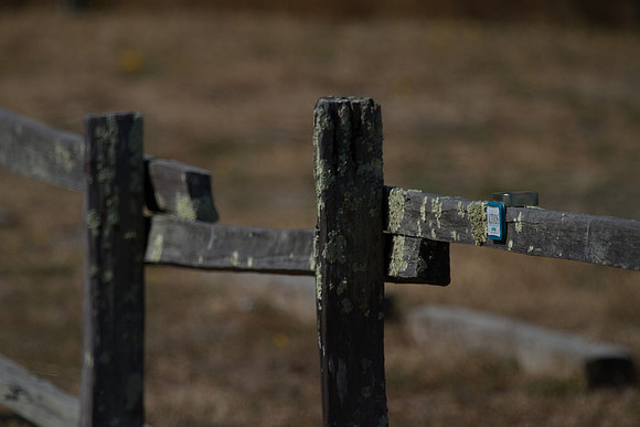 100-400L right point focus